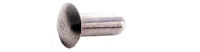 Truss Head Rivets